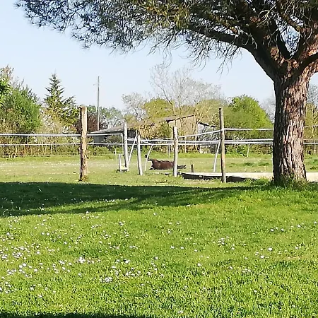 La Colline Des Hauts Bocages Vendeens Gasthuis Mouchamps