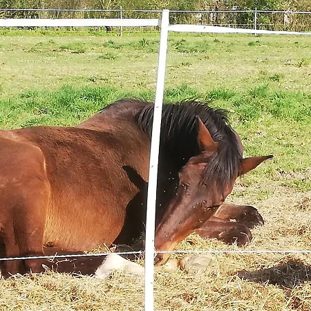 La Colline Des Hauts Bocages Vendeens Gasthuis