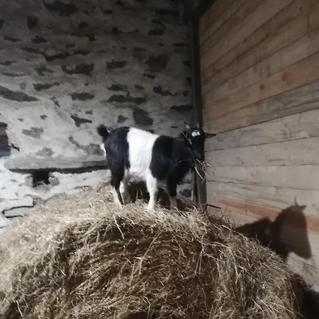 Gasthuis La Colline Des Hauts Bocages Vendeens