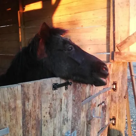 Gasthuis La Colline Des Hauts Bocages Vendeens Mouchamps
