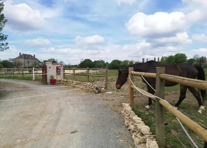 بيت ضيافة La Colline Des Hauts Bocages Vendeens *