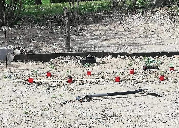 بيت ضيافة La Colline Des Hauts Bocages Vendeens Mouchamps
