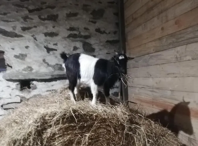 بيت ضيافة La Colline Des Hauts Bocages Vendeens