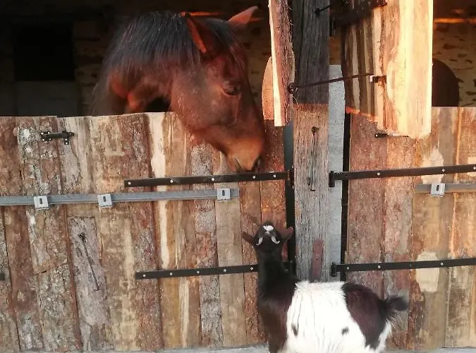 La Colline Des Hauts Bocages Vendeens