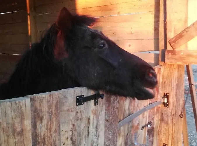 بيت ضيافة La Colline Des Hauts Bocages Vendeens Mouchamps